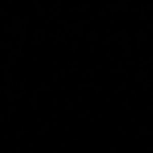 Meet your Posher, Jaylyn